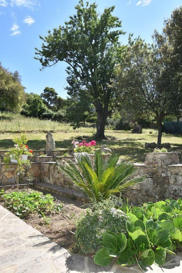 B&B I Menhir Sorgono Exterior photo